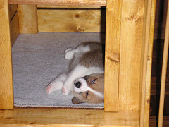 Resize of M2005080903_thumb.jpg